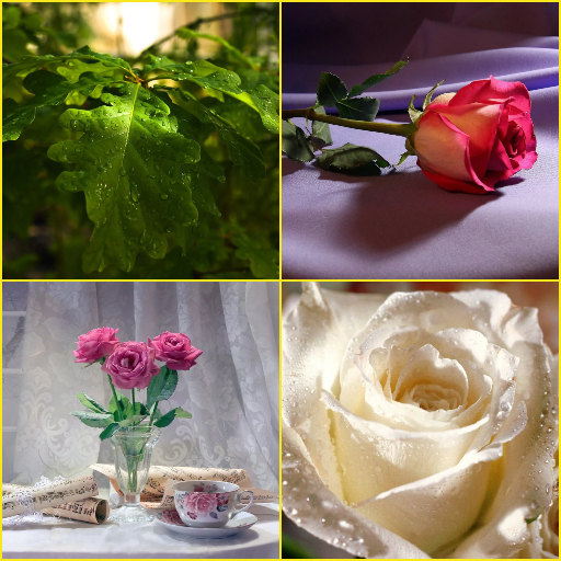 Pink Rose, White Rose, Leaf Wa