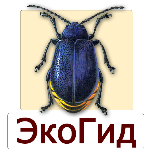 ЭкоГид: Насекомые-вредители