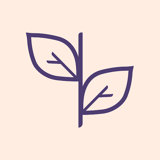 Baby Journey - Pregnancy App