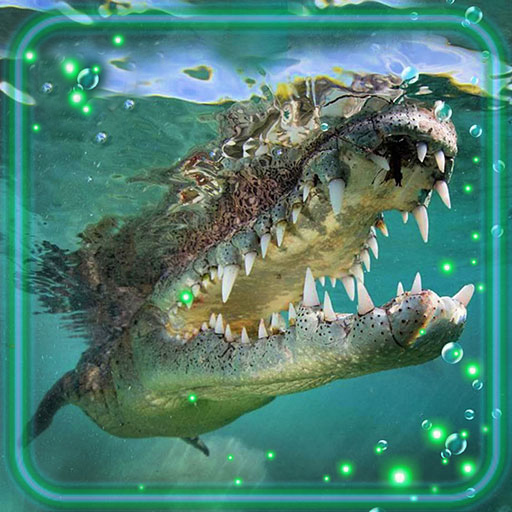 Crocodile HD Live Wallpaper