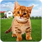 Cat Simulator Games Animal Sim