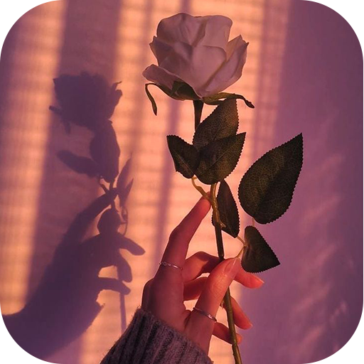 Aesthetic Wallpaper for Girls