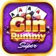 Gin Rummy Super - Card Game