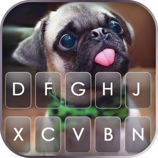 Cute Tongue Pug Keyboard Backg