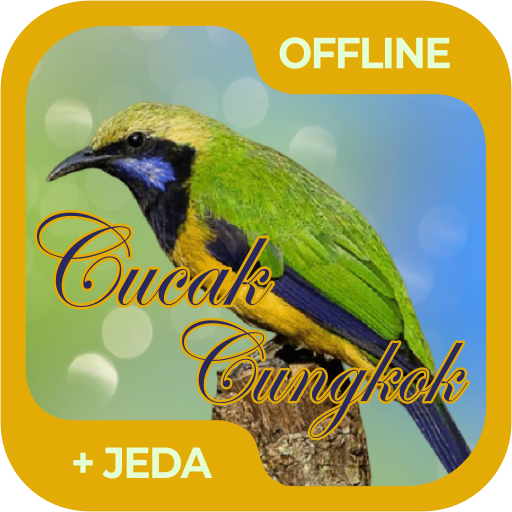 Masteran Burung Cucak Cungkok Offline