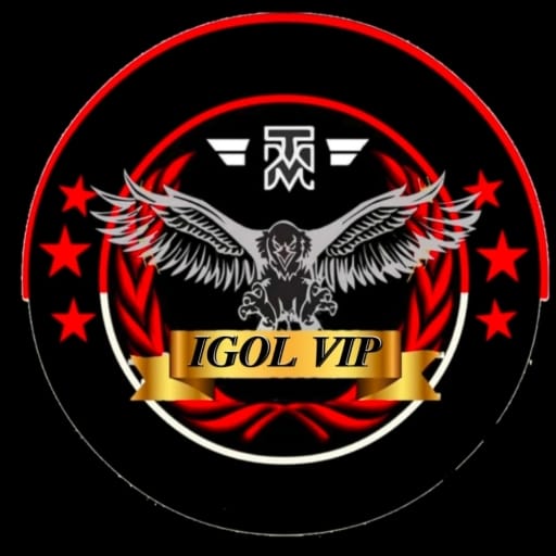 IGOL VIP - VPN