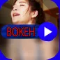 Video Bokeh Museum Full HD