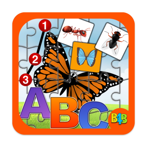 Insects Puzzles for Kids