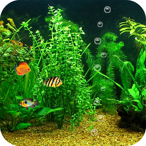 Aquarium Live Wallpaper HD