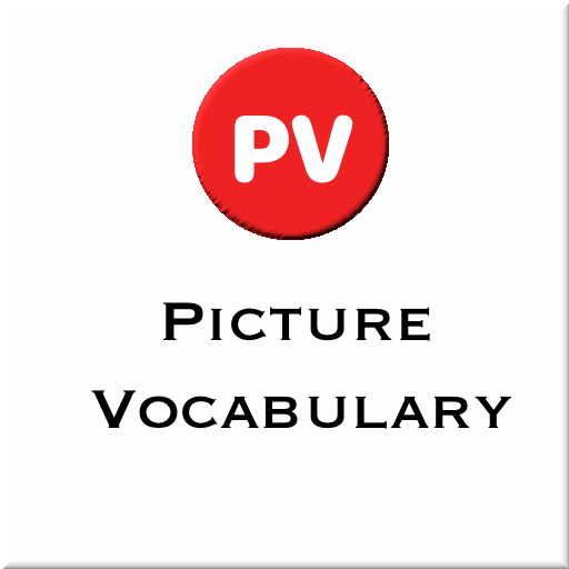 Picture Vocabulary