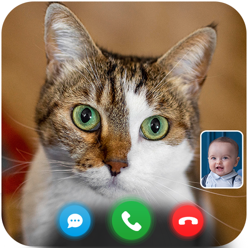 Cat Fake Video Call prank Chat