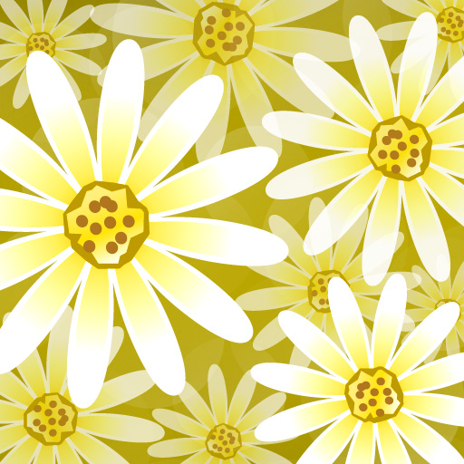 Daisy Flower Live Wallpaper