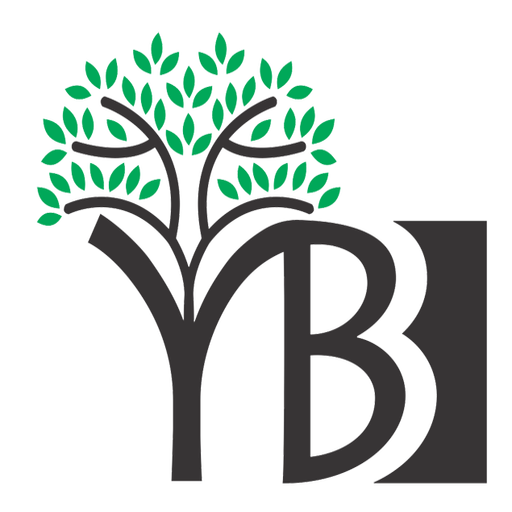Youth Break the Boundaries (YB