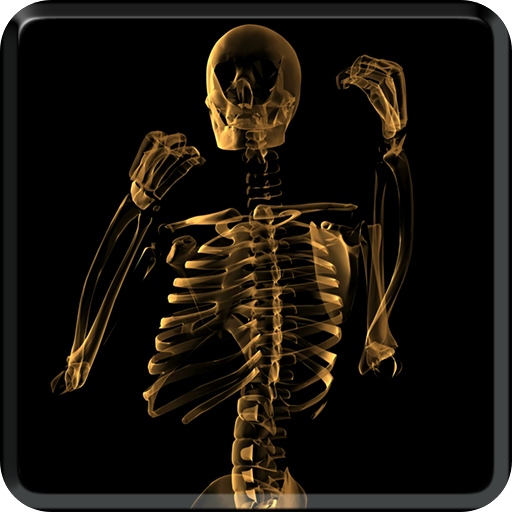 Skeleton Video Live Wallpaper