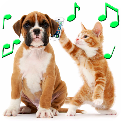 Animal Ringtones