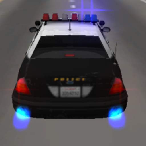 Police Car Driving 3D