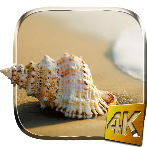 Download Sea Shell 4K Live Wallpaper android on PC