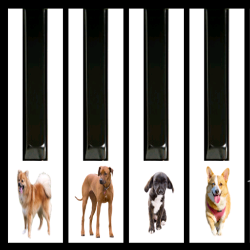 Dogs barking piano