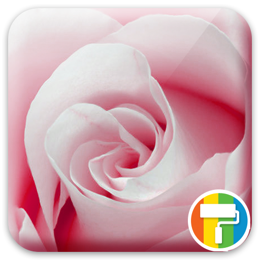 Rose ASUS ZenUI Theme