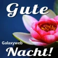 Guten Abend Gute Nach