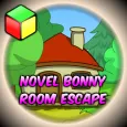 Novel Bonny Room Escape