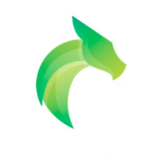 Plus Messenger, Messenger lite