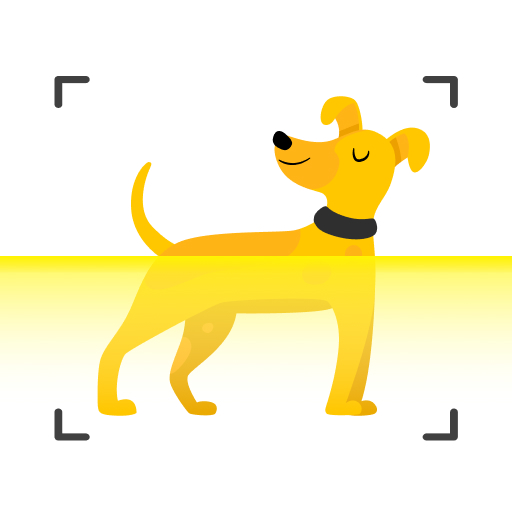 Dog scanner - Dog Breed ID