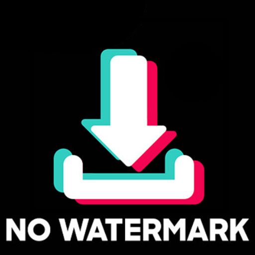 Downloader TikTok No Watermark