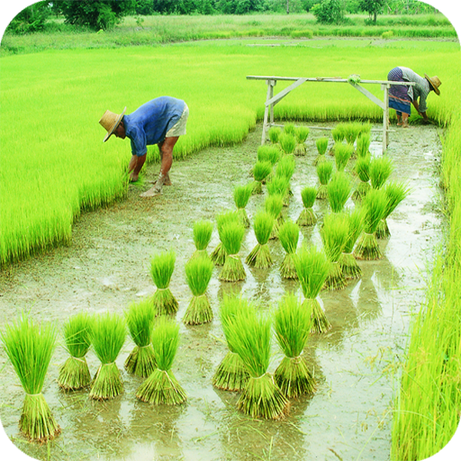 Agriculture Wallpaper