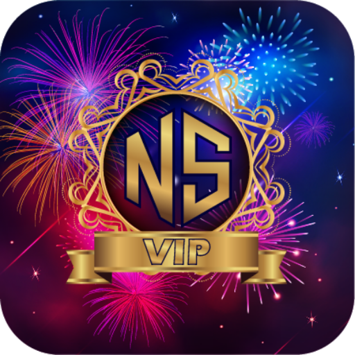 NS VIP VPN