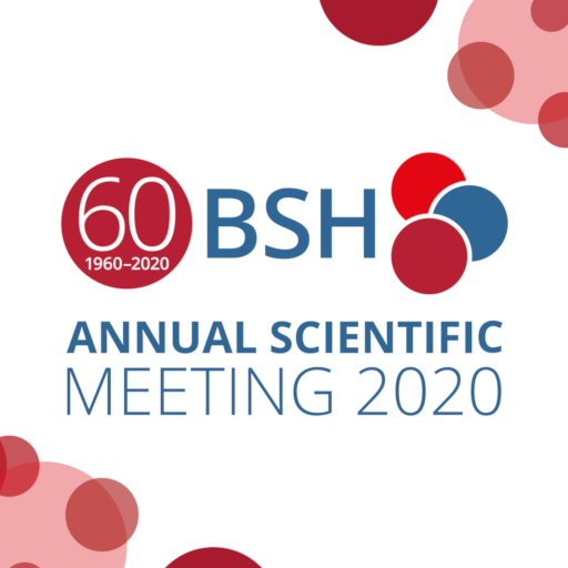 BSH Conferences