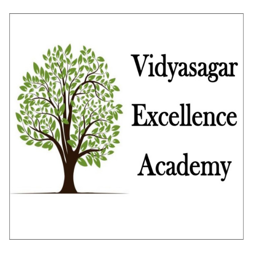 Vidyasagar Excellence Academy