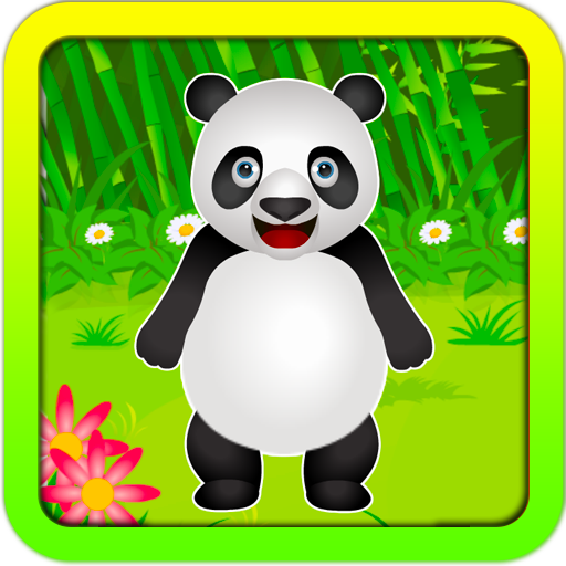 Pet Care Panda Animal