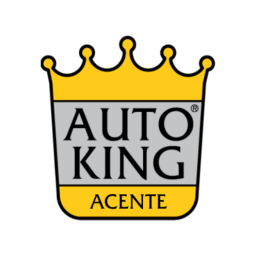 AUTO KING ACENTE