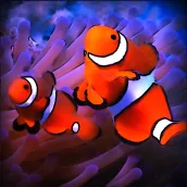 ClownFish Live Wallpaper HD