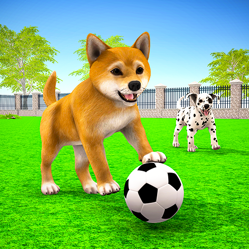 Trò chơi con chó : Dog Games