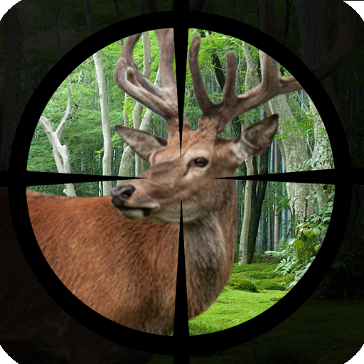 Deer Hunting - Expert Shooting