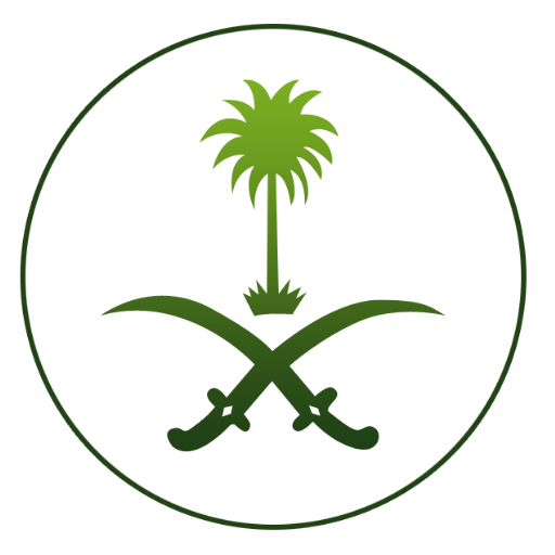 Saudi Expatriate