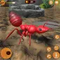 Ant Underground Colony Kingdom