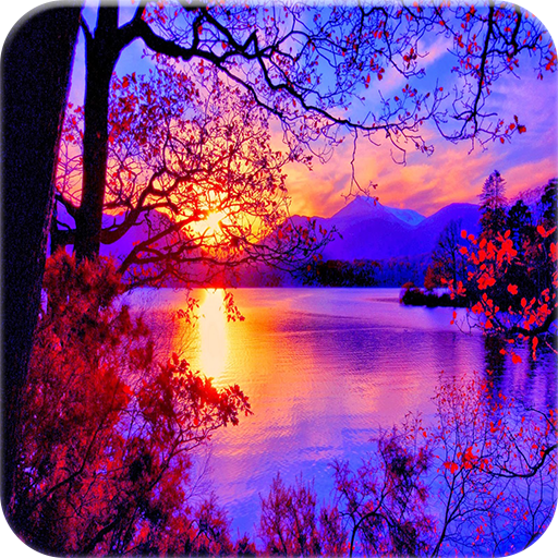 Scenery Wallpaper