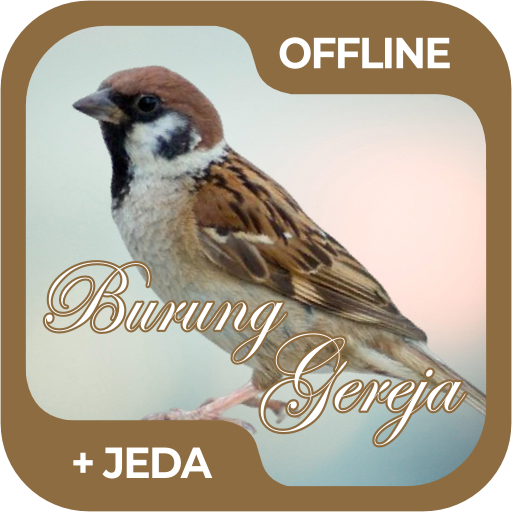 Masteran Burung Gereja Offline