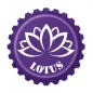 Lotus BA