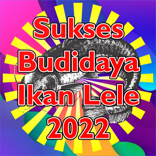 cara sukses ternak lele rumah