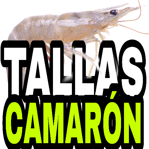 Tallas Camarón