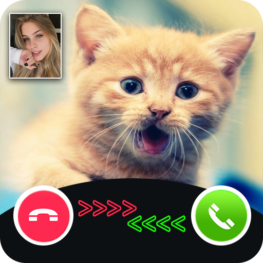 cat call you - fake video call