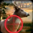 Deer Hunt Wild Classic Safari 