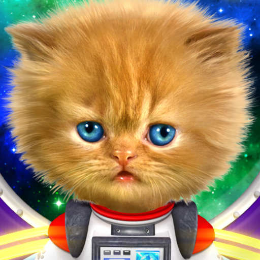Nói mèo bé trong không gian