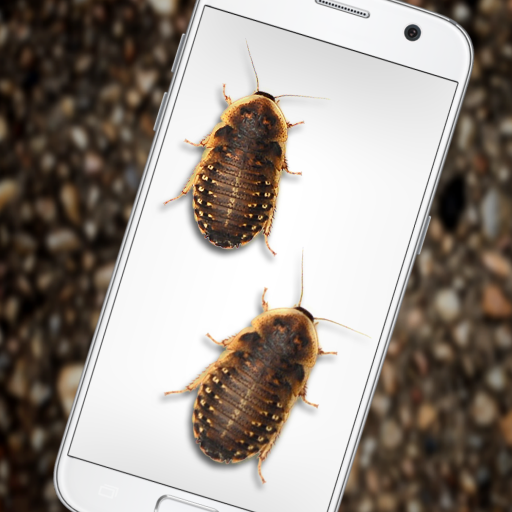 Bugs in Phone Funny Joke