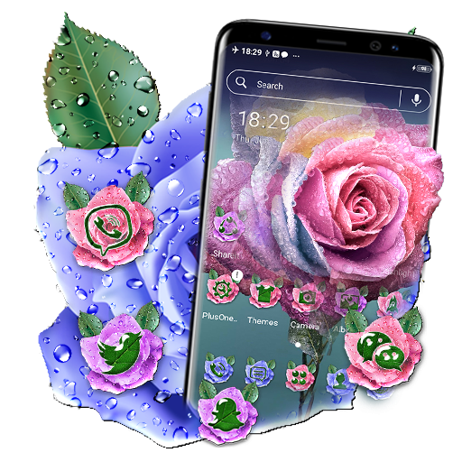 Rose Water Drop Theme Launcher