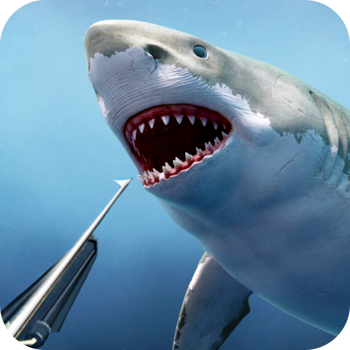 เกมส์ Shark Hunter